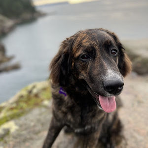 Meet your Posher, Tanya